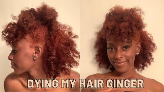 Dying My Curly Natural Hair Orange  Copper NO BLEACH 2021 [upl. by Suirauqed]