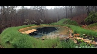 How to make a Natural  Organic Pool in America [upl. by Allehs207]