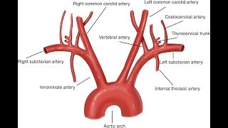 Heart Anatomy  Right Ventricle  3D Anatomy Tutorial [upl. by Rumit]