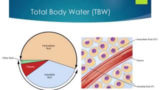 Introduction to Fluid Therapy [upl. by Greenstein]