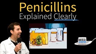 Penicillins  Antibiotics Explained Clearly [upl. by Elvin43]