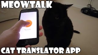 Meow Talk Cat Translator App [upl. by Humpage]