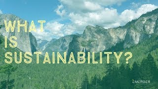 Sustainability 101 What is Sustainability [upl. by Mills837]