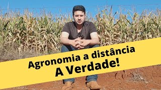 Agronomia EAD a distância  Vale a pena [upl. by Aivax]