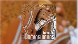 Dominguinhos feat Jorge de Altinho  quotNem Se Despediu de Mimquot O Forró do Dominguinhos2003 [upl. by Boonie]