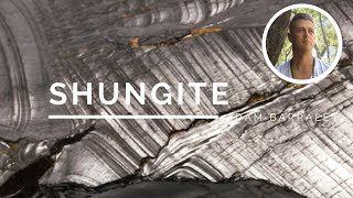 Shungite  The Crystal of Ancestral Healing [upl. by Nekial]