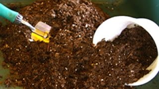 How to revitalize and reuse potting soil [upl. by Cynthia]