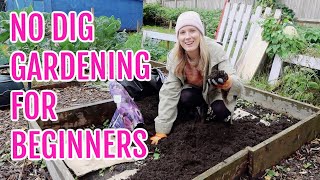 NO DIG GARDENING FOR ABSOLUTE BEGINNERS [upl. by Sinnaoi305]