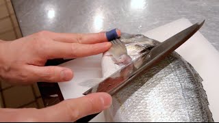 GRAPHIC  How to fillet a fish  Sea bream  Japanese technique  クロダイのさばき方 [upl. by Yeclehc]