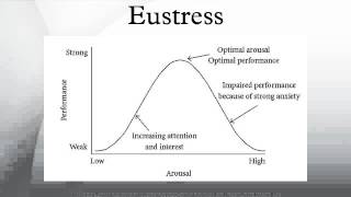 Eustress [upl. by Etnecniv]