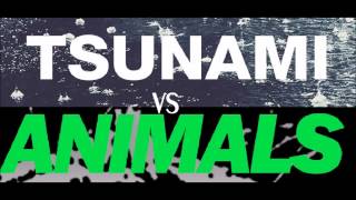 Martin Garrix Animals Vs DVBBS Tsunami [upl. by Lerner]