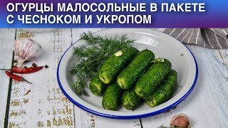 Огурцы малосольные в пакете с чесноком и укропом 🥒 Как приготовить МАЛОСОЛЬНЫЕ ОГУРЦЫ в ПАКЕТЕ [upl. by Noedig737]