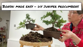 Bonsai Made Easy  DIY Juniper Procumbens [upl. by Yemane]