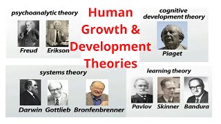 Human Growth and Development Theories [upl. by Euqnom260]