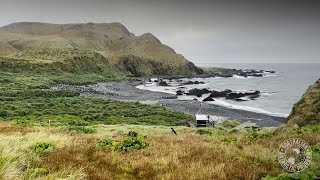 Macquarie Island pest eradication success [upl. by Ettesoj]