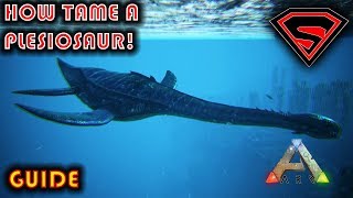 ARK HOW TO TAME A PLESIOSAUR 2020  EVERYTHING YOU NEED TO KNOW ABOUT TAMING A PLESIOSAUR IN ARK [upl. by Buller]