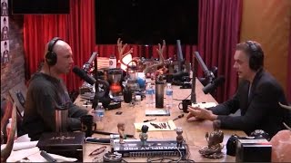 Jordan Peterson Clarifies His Gender Pronoun Stance  The Joe Rogan Experience [upl. by Mollie84]