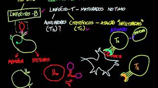 Linfócito T auxiliar [upl. by Kenric]