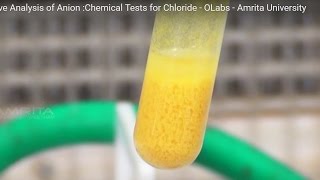 Chemical Tests for Chloride  MeitY OLabs [upl. by Orin]