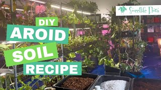 DIY Aroid Soil Mix Recipe [upl. by Esinart]