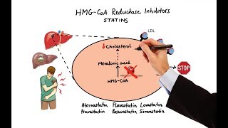 Pharmacology  DRUGS FOR HYPERLIPIDEMIA MADE EASY [upl. by Hbahsur]