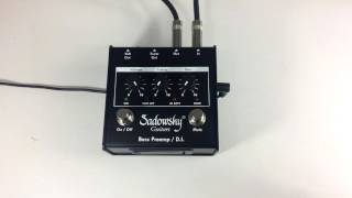 Sadowsky Bass Preamp  DI Review [upl. by Merrow]