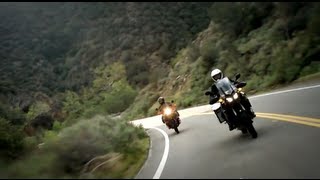 Adventure Touring with the KTM 990 and Yamaha Super Ténéré  RideApart [upl. by Naul960]