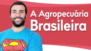 A AGROPECUÁRIA BRASILEIRA AGRICULTURA  PECUÁRIA  CANÁRIO PRODUTIVO DO CAMPO BRASILEIRO [upl. by Ahcropal]