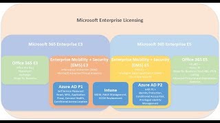 Microsoft 365 E3 and E5 Licensing [upl. by Serena]