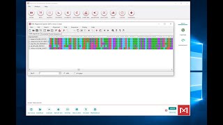 Making a Multiple Sequence Alignment in MEGA [upl. by Hashimoto185]