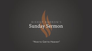 How to Get to Heaven — Bishop Barron’s Sunday Sermon [upl. by Efron]