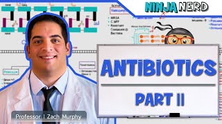 Antibiotics Folic Acid Pathway Inhibitors Part 2 [upl. by Amre660]