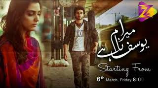 Tu Mera nahi  Mera Naam Yousuf Hai  OST Full Lyrics [upl. by Modesty]