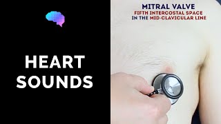 Heart murmur sounds cardiac auscultation sounds  UKMLA  CPSA  PLAB 2 [upl. by Kotz]