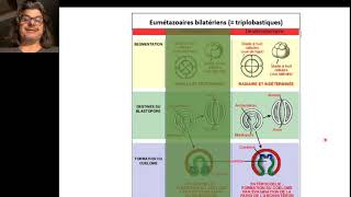INTRO deutérostomiens [upl. by Krawczyk]