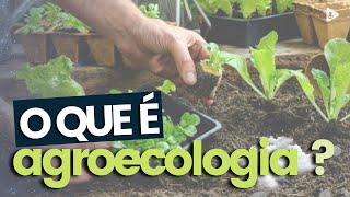 O QUE É AGROECOLOGIA [upl. by Valeria466]