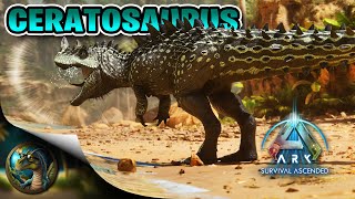 ARK Ascended Ceratosaurus Taming [upl. by Yleve]