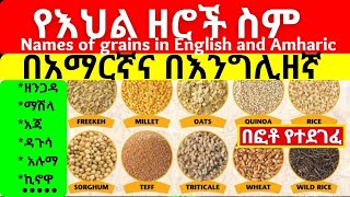 Grain  Cereal Crops Names Meaning amp Images  দানাদার শস্য  Cereals Vocabulary  Necessary [upl. by Clementis]