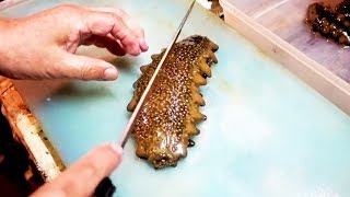 Sea Cucumber  Japanese Street Food [upl. by Ahsas199]