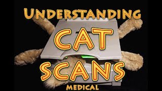 Understanding CT scans [upl. by Winebaum]