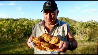 How to make Corned Beef Fritters [upl. by Edmund]