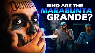 Who Are The Marabunta Grande  Grand Theft Auto History Fan Fiction [upl. by Yrmac]