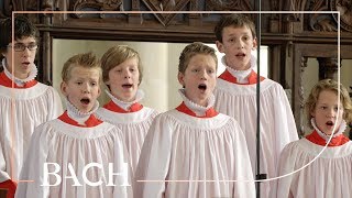 Bach  Opening Chorus Kommt ihr Töchter from St Matthew Passion BWV 244  Netherlands Bach Society [upl. by Duane761]