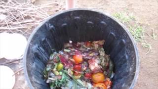 How to start a compost bin [upl. by Olfe]