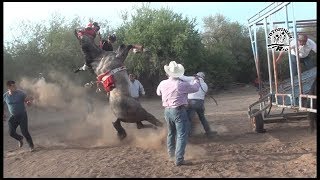 Carreras de Caballos en la Fabrica de Los Angeles [upl. by Isdnil54]