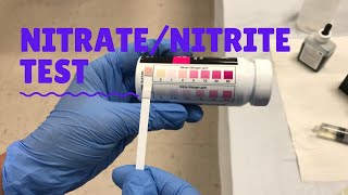 NitrateNitrite Test [upl. by Knowle]