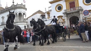 33 Sevilla Capital Mundial del Enganche 2017 Caballos y Carruajes [upl. by Sicnarf]