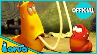 LARVA Funny Animation  LARVA AND THE SPAGHETTI  Cartoons  Comics  LARVA Official [upl. by Mendelson]