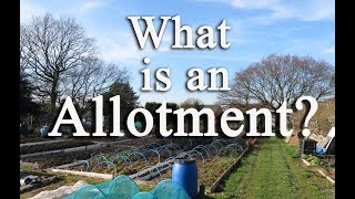 What is an allotment Growing food in the UK [upl. by Atthia]