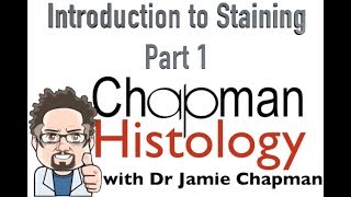 3 Min Histology Intro To Staining 1 [upl. by Bronwen]